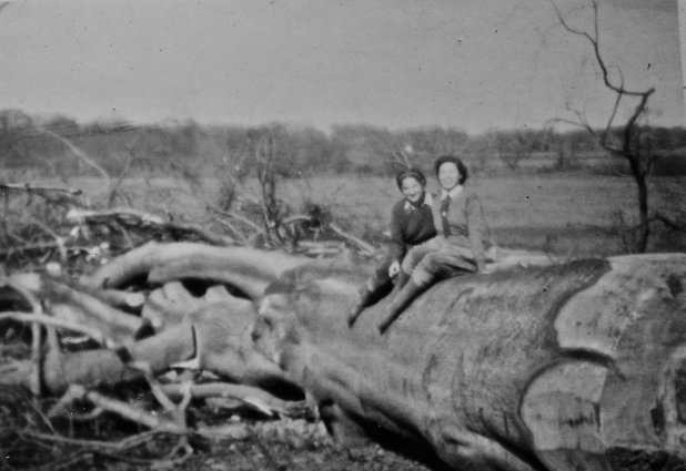 Joyce Elizabeth Gaster felling trees in the Women's Timber Corps at Alice Holt Forest